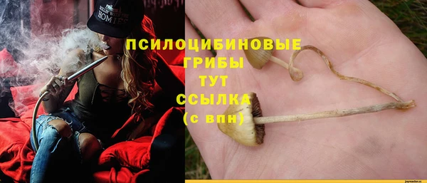 не бодяженный Гусев