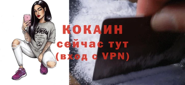 не бодяженный Гусев