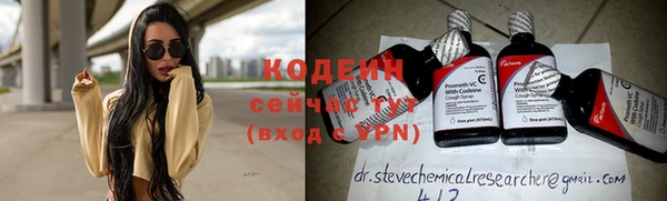 не бодяженный Гусев