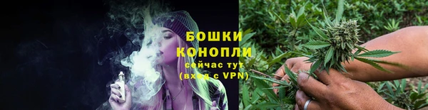 не бодяженный Гусев