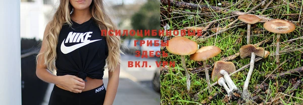 гашишное масло Гусь-Хрустальный