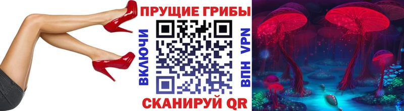 Псилоцибиновые грибы Cubensis  Заполярный 